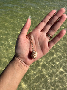 Shell Necklace