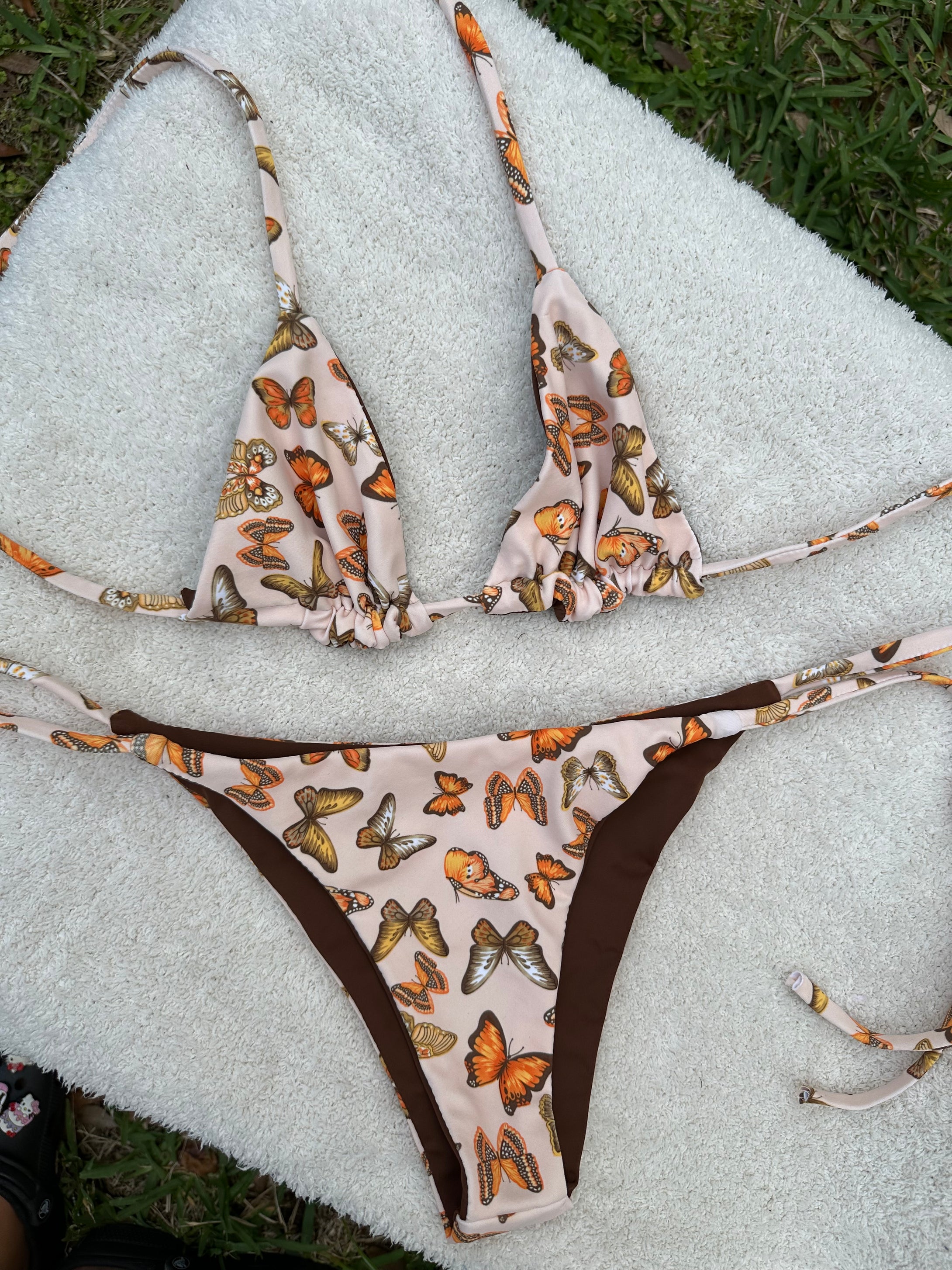 Monarch Butterflies