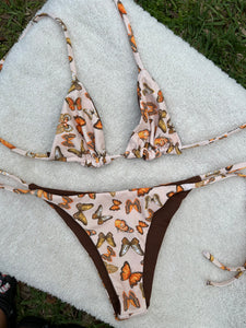 Monarch Butterflies