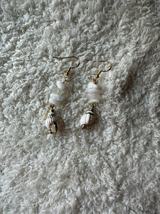 Shell Earrings