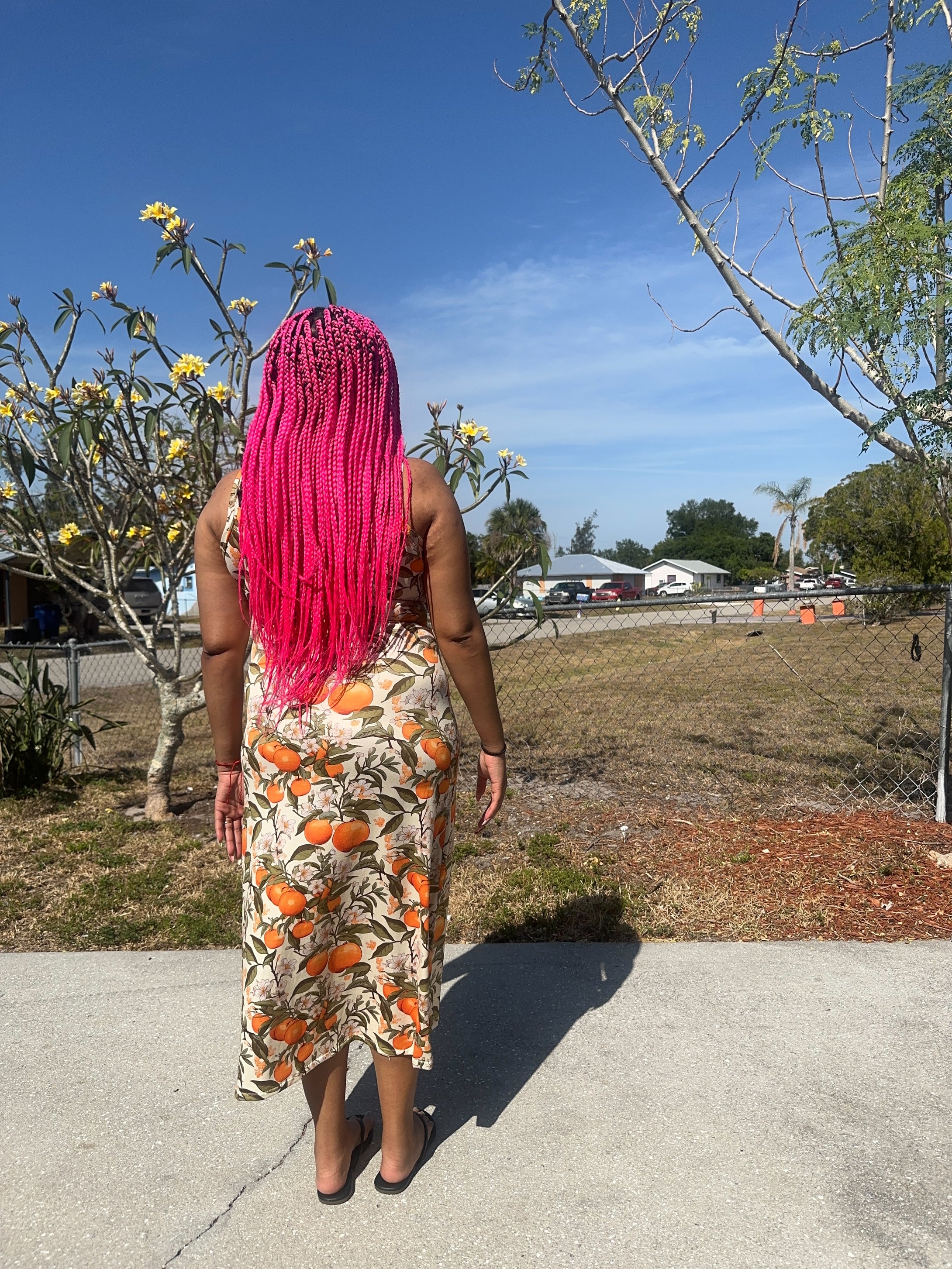 Clementine Dress
